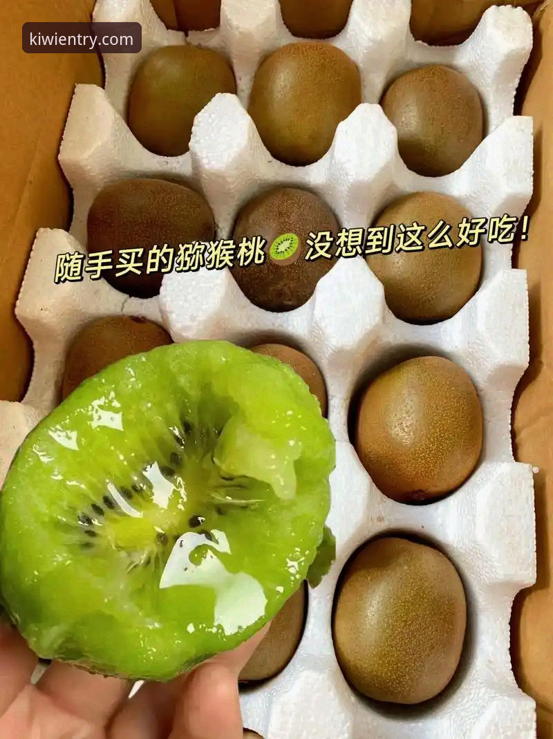 奇异果体育中国版教程最新动态：v2.1.0版本实测与下载全流程解析