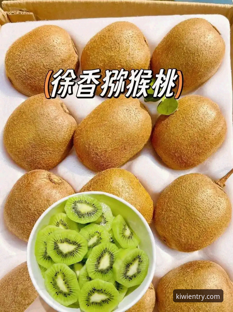老用户深度测评：奇异果体育平台到底安不安全？我的两年使用心得