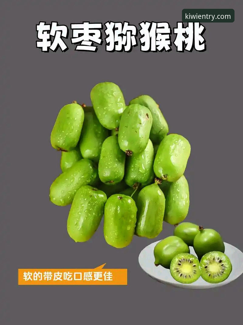 奇异果体育直播最新版必备知识：从下载到流畅运行的完整技术解析