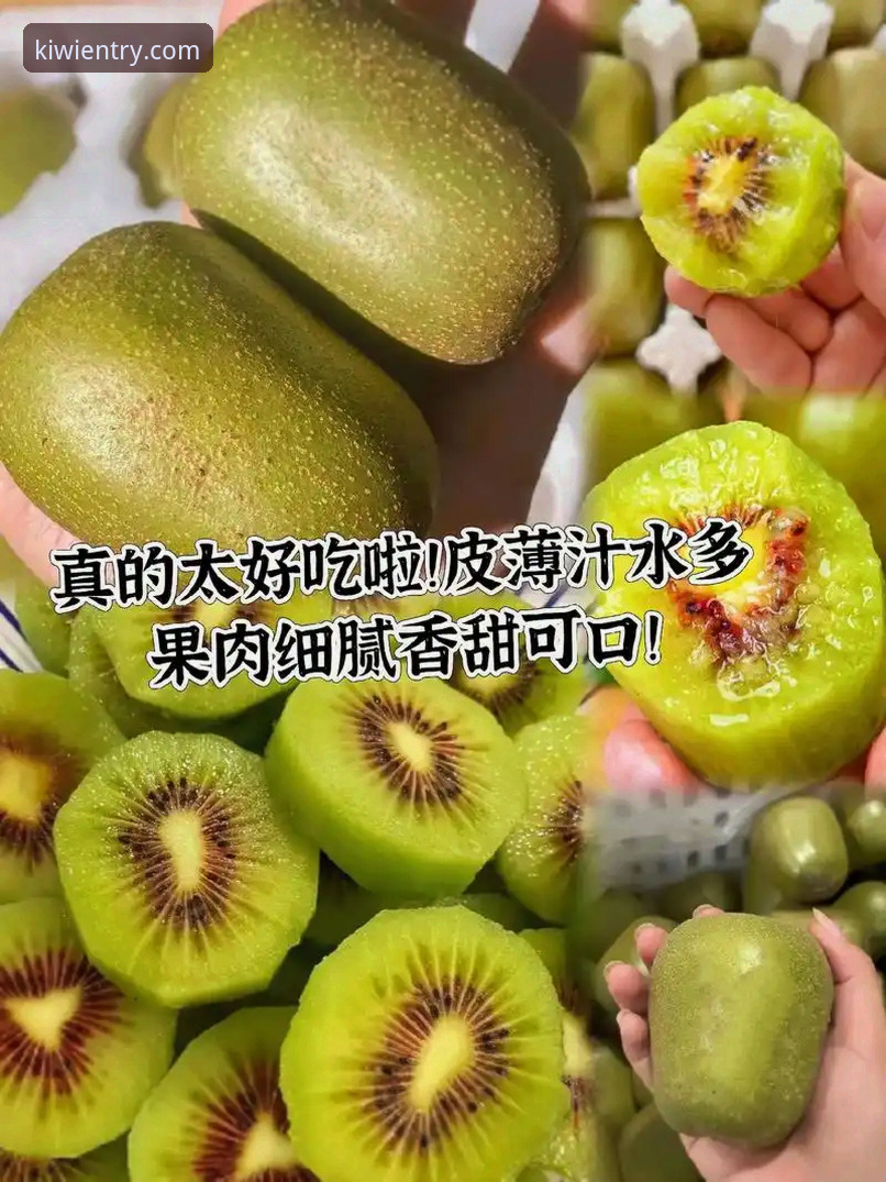 奇异果体育安卓版安装失败的实用解决技巧与必备知识